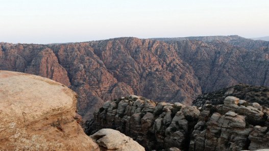 محمية ضانا