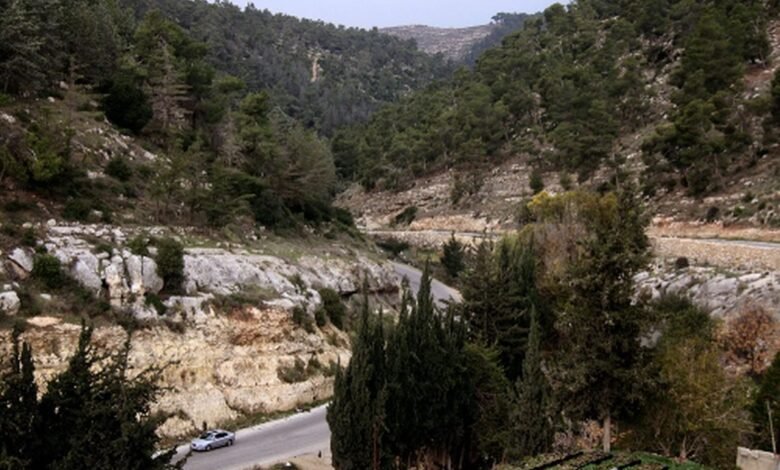 F3a20161b29ad86e8c232c2be4c807da