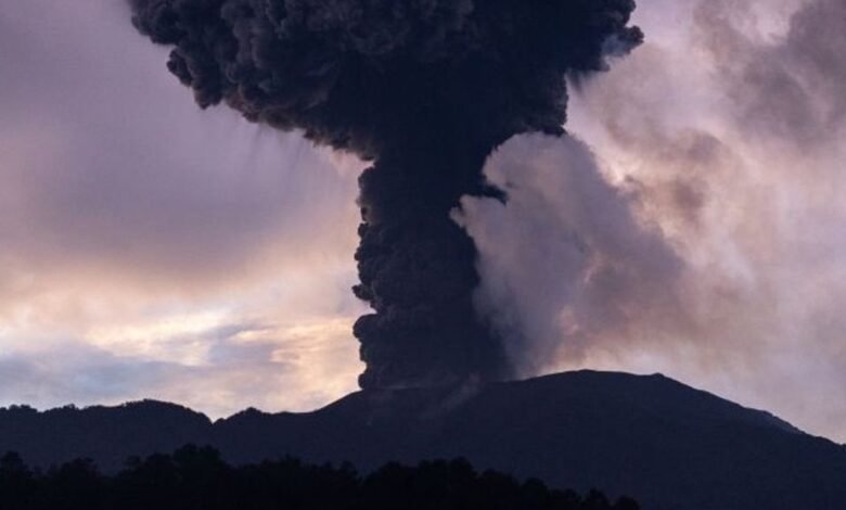 Doc P 1301486 638716686201023372