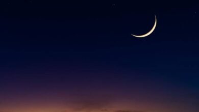 67bb067887e761740310136